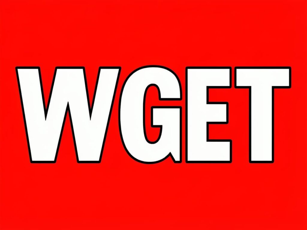 Как использовать wget для загрузки файлов на VPS